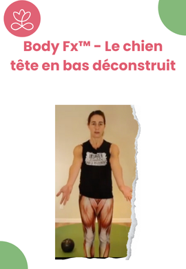 Body Fx™️ - Le chien tête en bas déconstruit